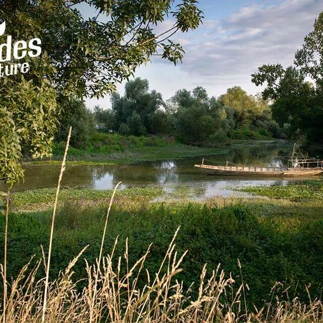 Les oiseaux du Bois de Buis