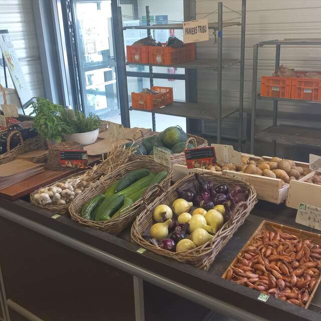 Vente de légumes bio