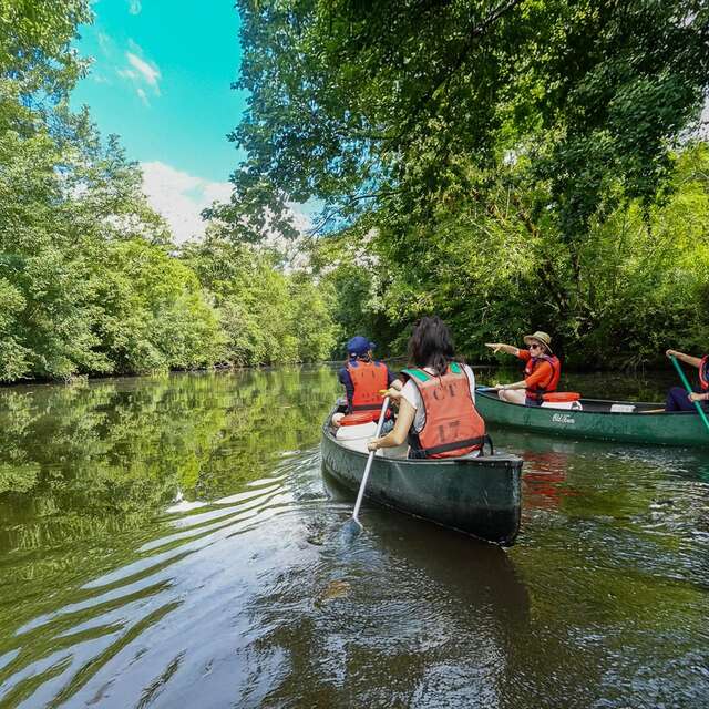 Balade guidée en canoë sur la Maine, de Pont-Caffino à Saint-Fiacre
