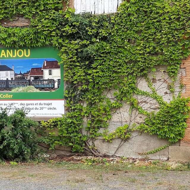 Petit Anjou le petit train pour les grands : ados, adultes, seniors