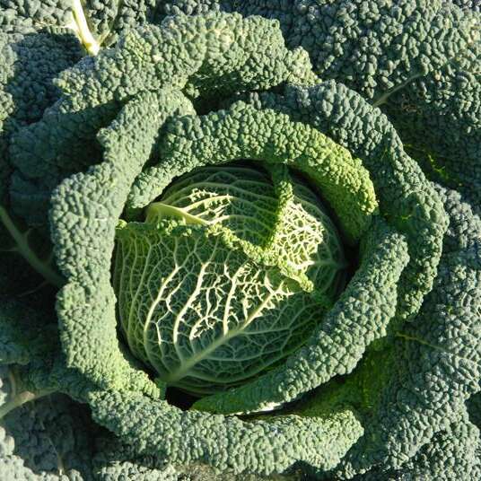 Ferme Philippe Macors