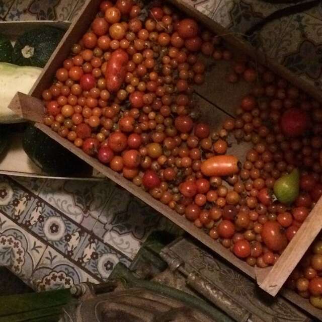 Les jardins de Wanet