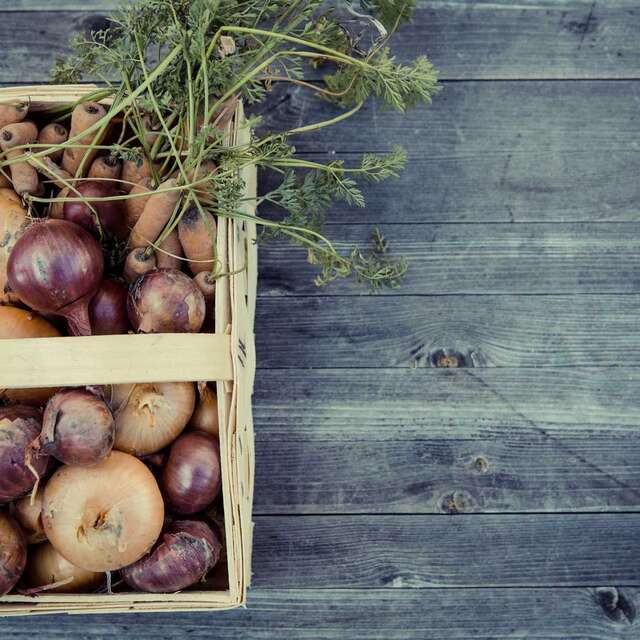 Laporte des champs Bio