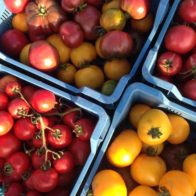 Les Sentiers du Potager