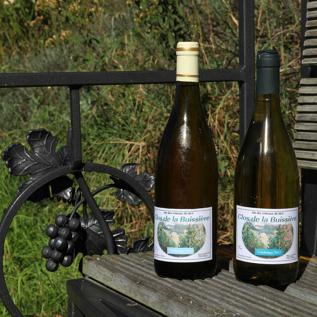 Clos de la Buissière