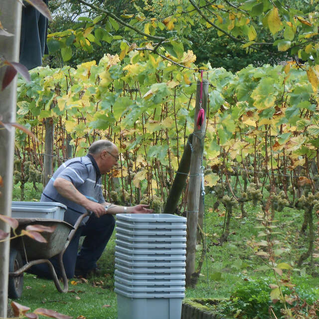 Clos des Troenes