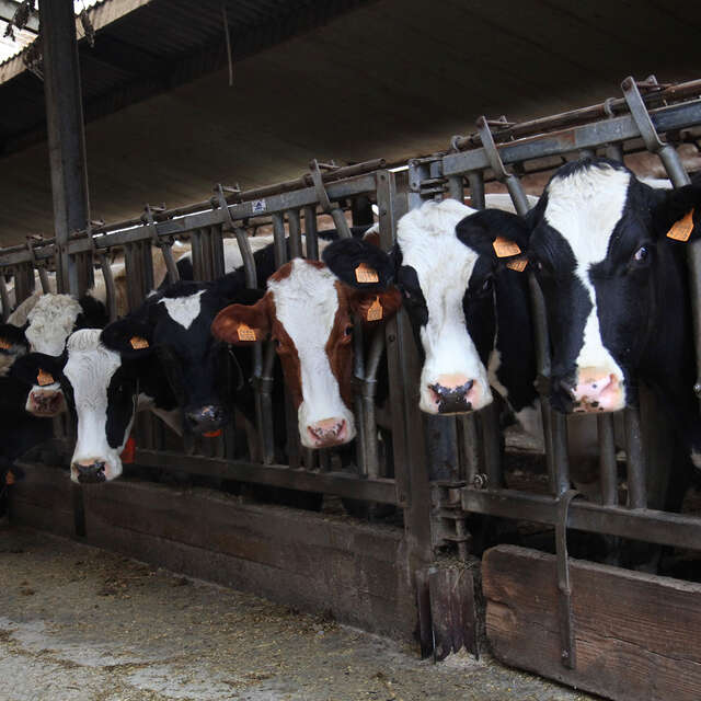 La Ferme de la Vacheresse
