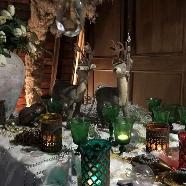 Hivernales au jardin du curé