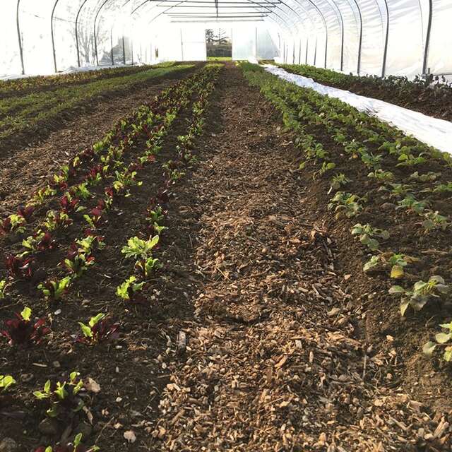 Terre & Ciel Maraîchage