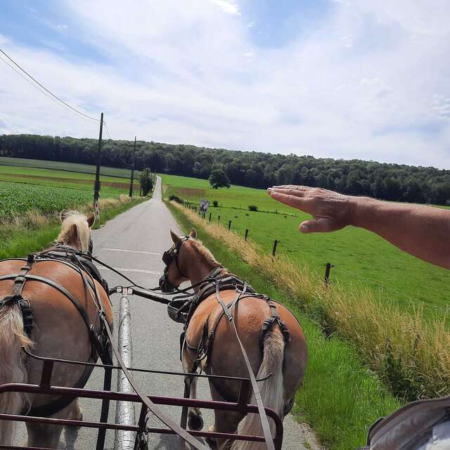 Le Relais d'Houchenée