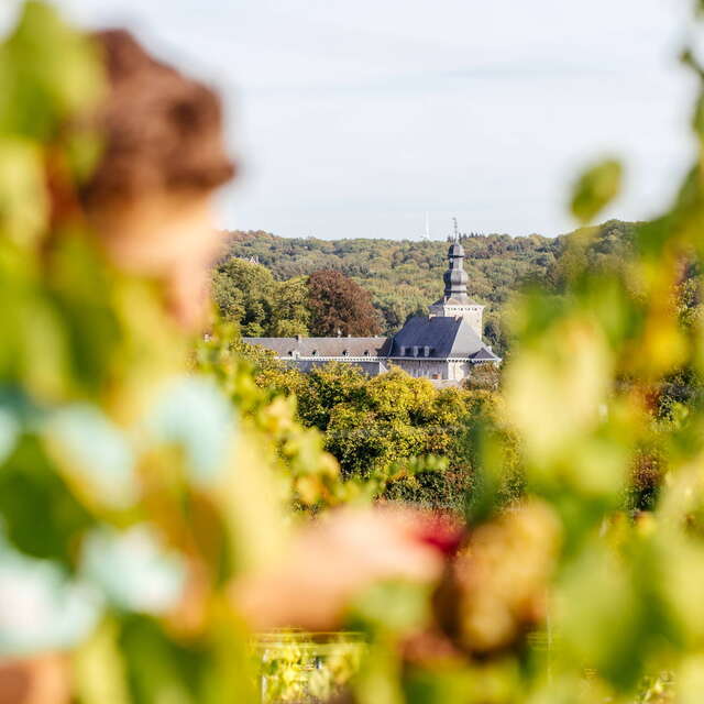 Château de Fumal