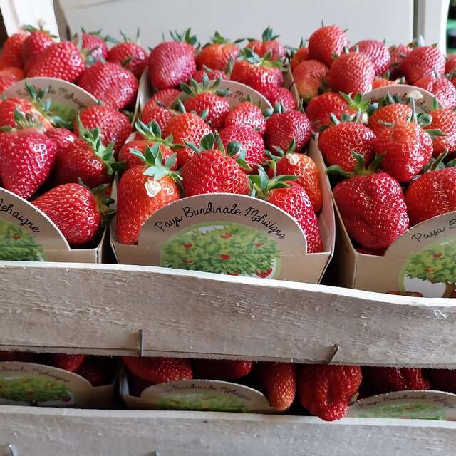 Producteur - André Delarbre