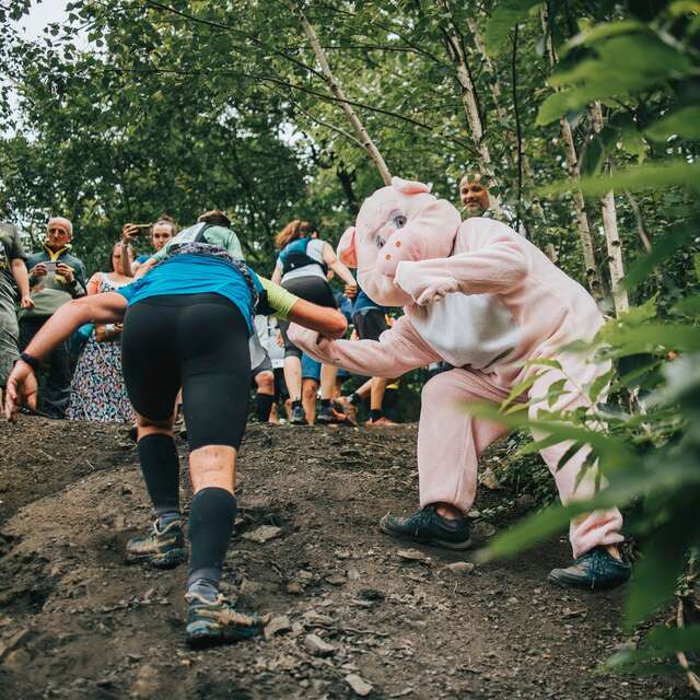 Trail de la cochonne