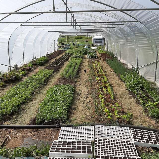 Le potager de Wasseiges