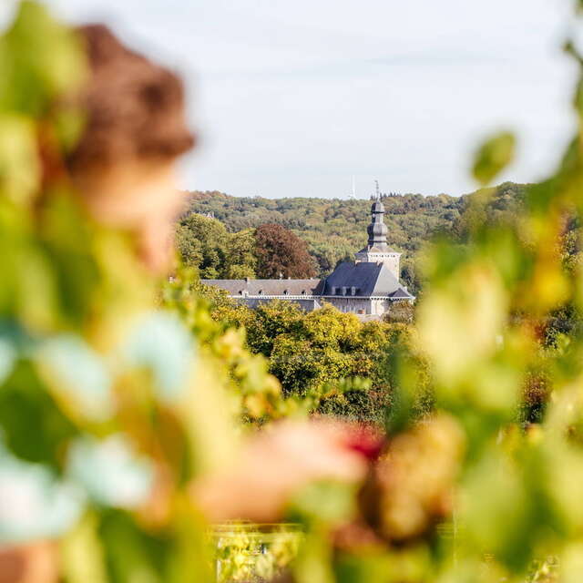 Visite et dégustation ouverte au public au Château de Fumal