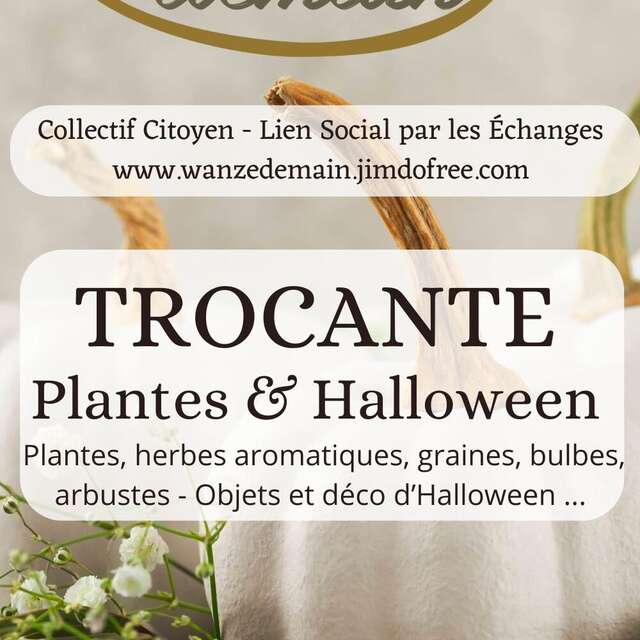 Trocante de plantes et d'objets d’Halloween