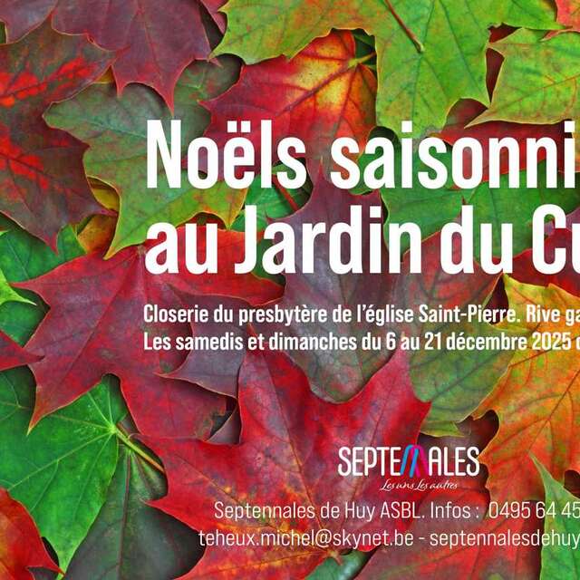 Hivernales au jardin du curé