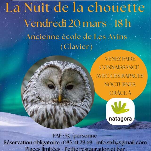 Nuit de la chouette