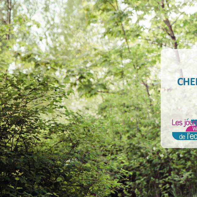 Cheminement vers la durabilité : repenser l'eaun entre nécessité et responsabilité