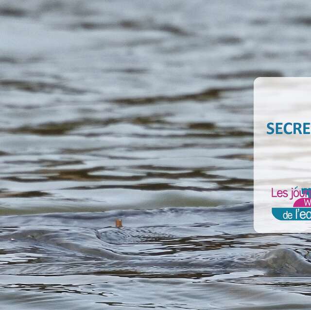 Secrets d'eau, d'ailes et de racines