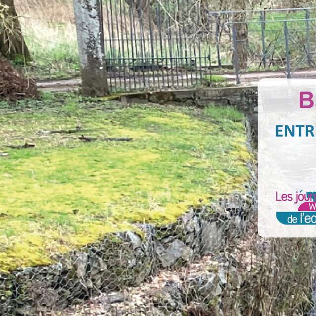 Entre la Burdinale et le Vicinal