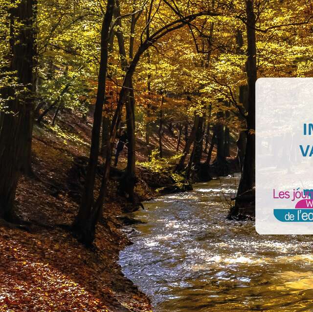 Immersion au cœur de la vallée de la Solières