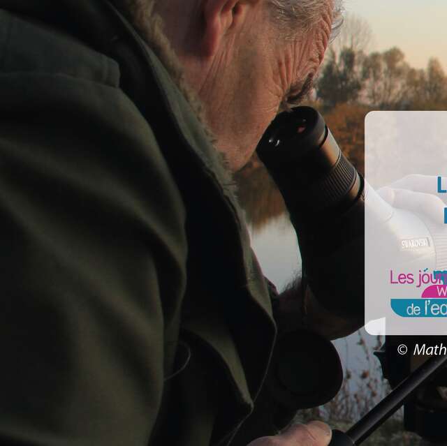 Les oiseaux de la Réserve naturelle du Haut-Geer