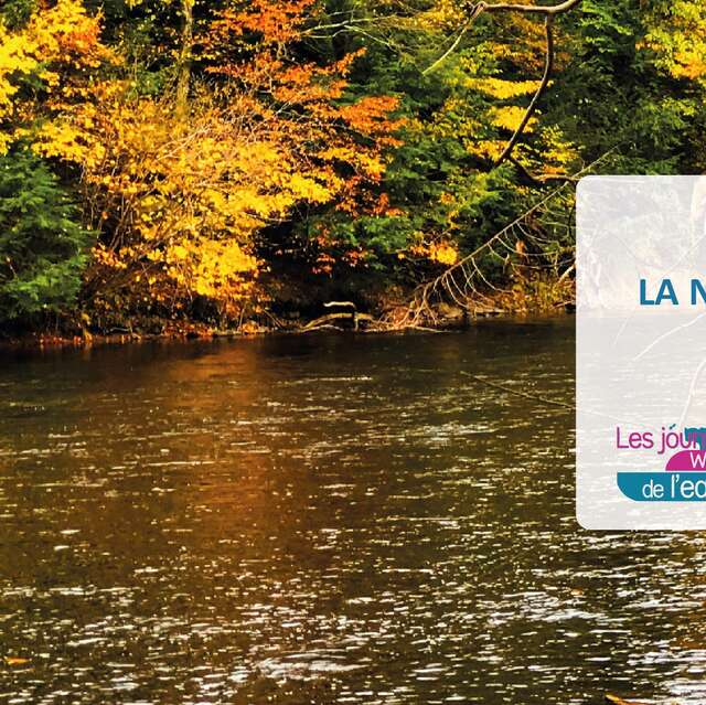 La nature de la vallée de la Mehaigne