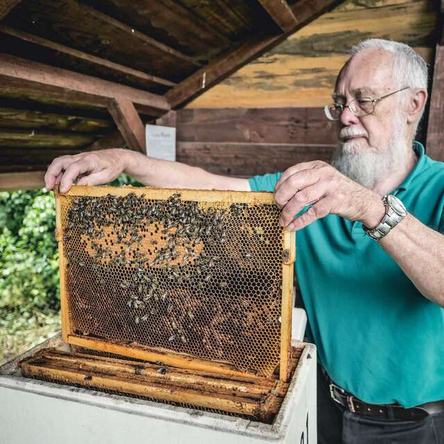 Visite du Clos des Abeilles