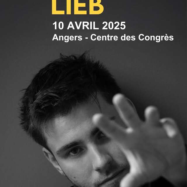 Concert : Julien Lieb