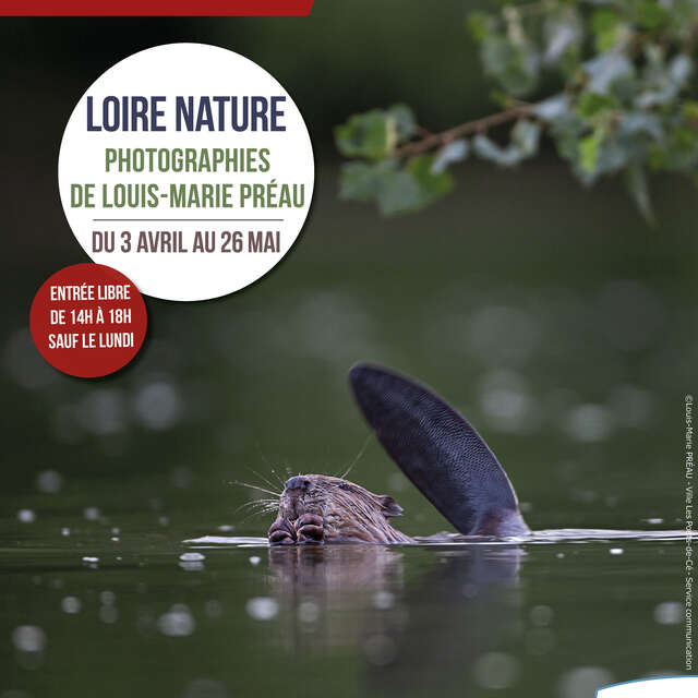 Exposition "Loire Nature" - Exposition de photographies naturalistes de Louis-Marie Préau