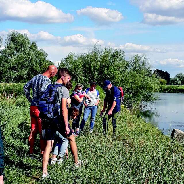 Discover the banks of the Sarthe