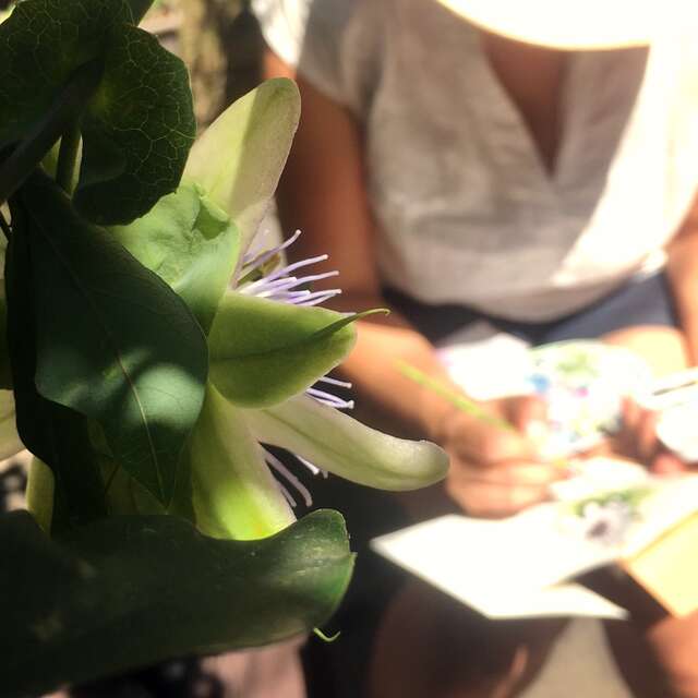 Carnet de voyage à l'Arboretum (à partir de 12 ans)
