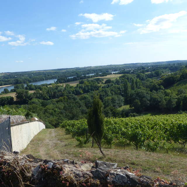 Vineyard and terroirs at Château d'Epiré