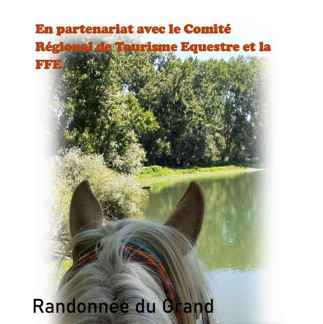 Randonnée équestre dans les Basses Vallées Angevines