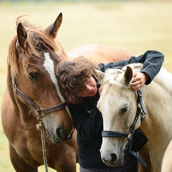 Centre équestre Pelamer Equitation