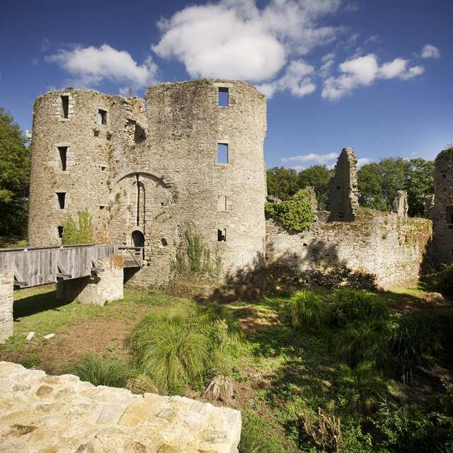 Le Château de Ranrouët