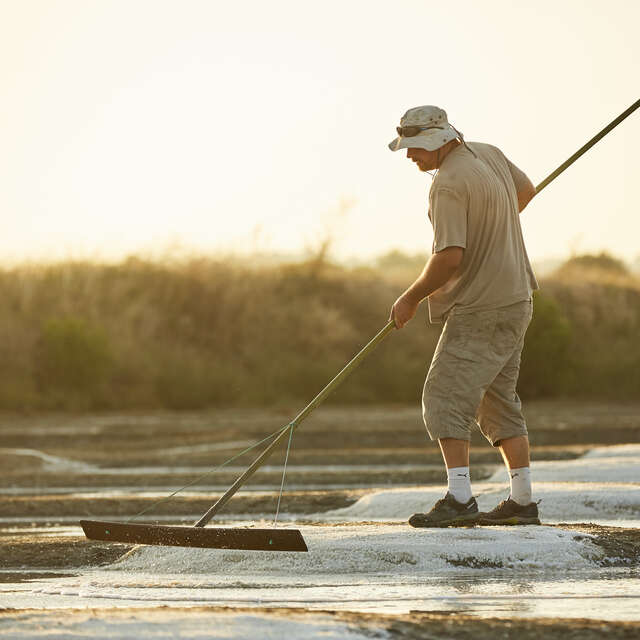De la cité médiévale aux marais