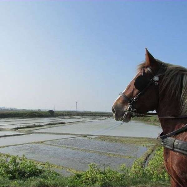 La p'tite ferme de Mélie