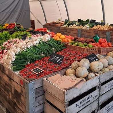 Lemoine Maraîcher - Le Potager de Lili