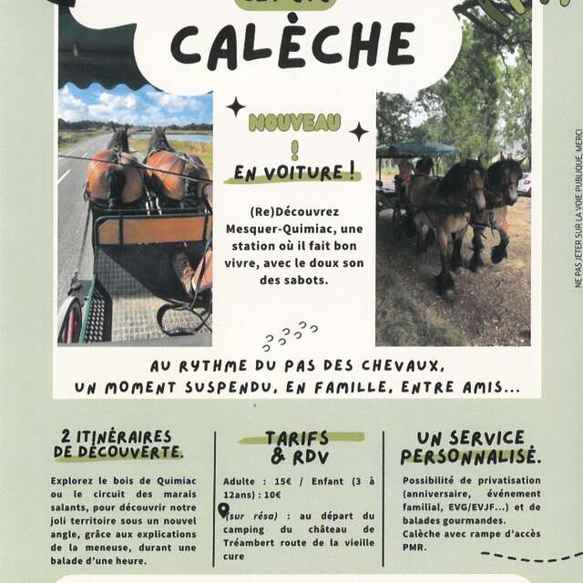 Balades en calèche