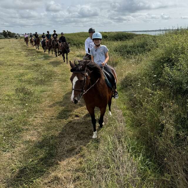 Poney Club des Iles