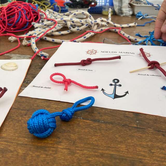 Activité noeuds marins et pomme de touline