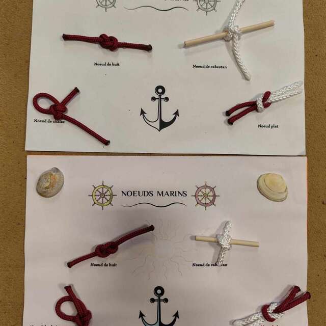 Activité noeuds marins