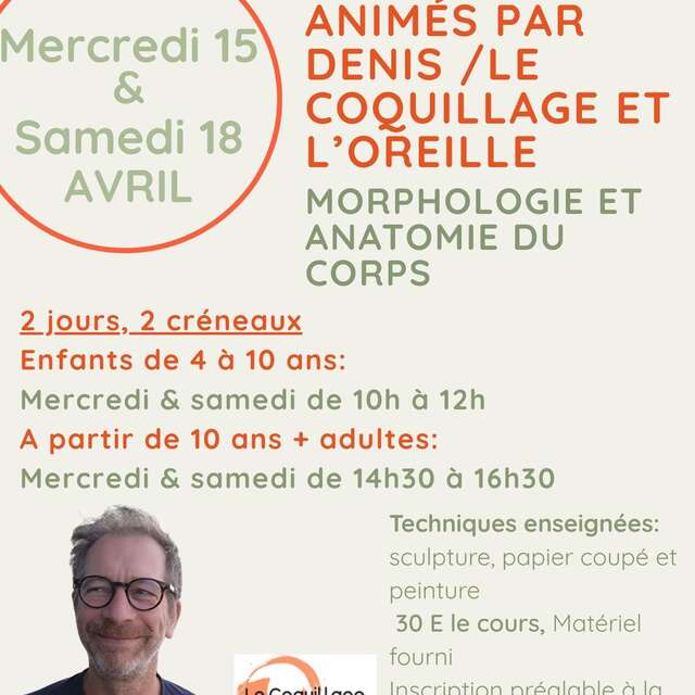Ateliers - Le coquillage et l'oreille