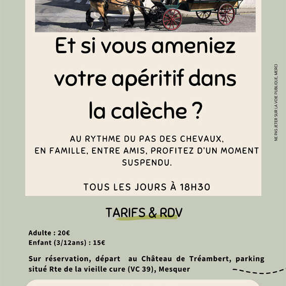 Balades en calèche