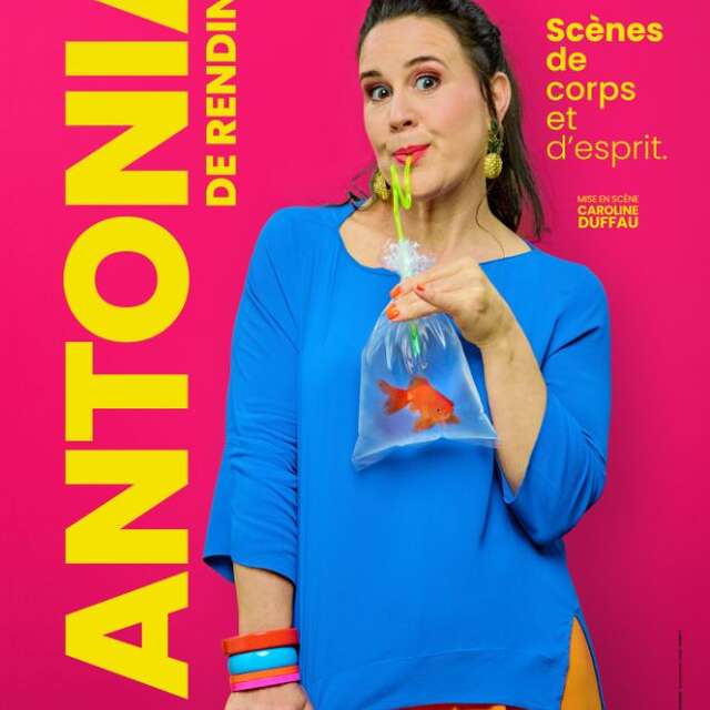 Antonia de Rendinger "Scènes de corps et d'esprit" - les voiles de l'humour