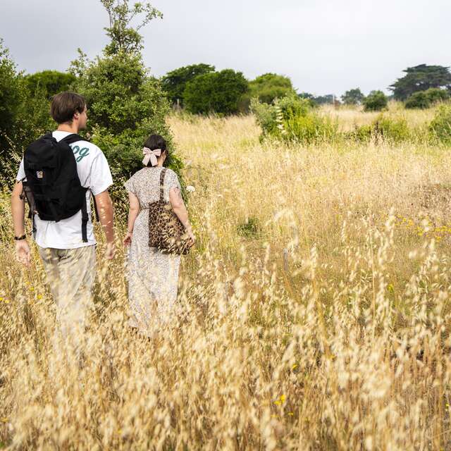 Naturbesuche - Die Dune de la Falaise und Die Windmühle
