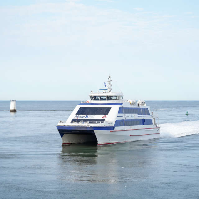 Partez à la découverte de l’île d’Yeu avec Yeu Continent !