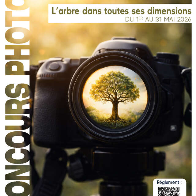 Concours de photographies